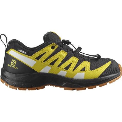 SALOMON XA PRO V8 CSWP