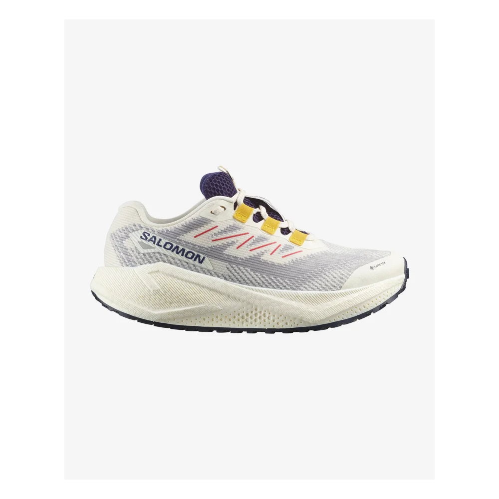 SALOMON AERO BLAZE 3 GRVL GTX UOMO  VANILLA ICE...