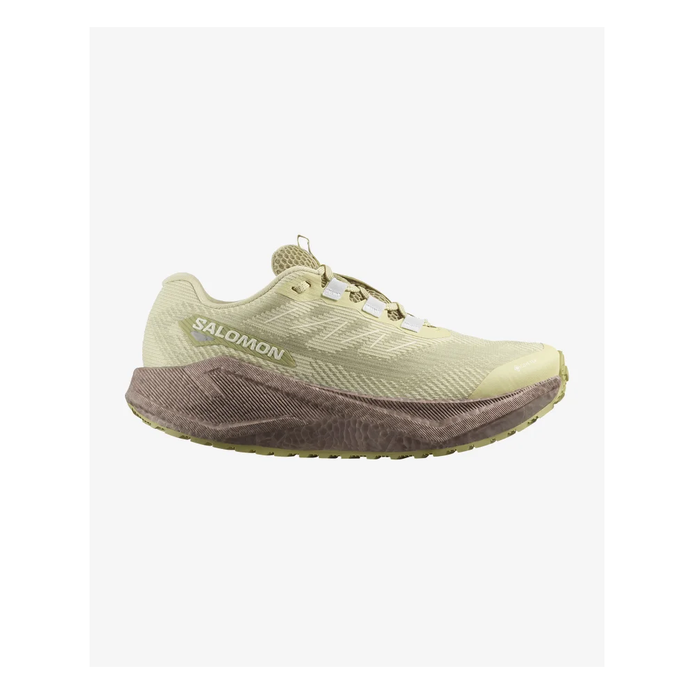 SALOMON AERO GLIDE 3 GRVL GTX WOMAN GREEN HAZE...