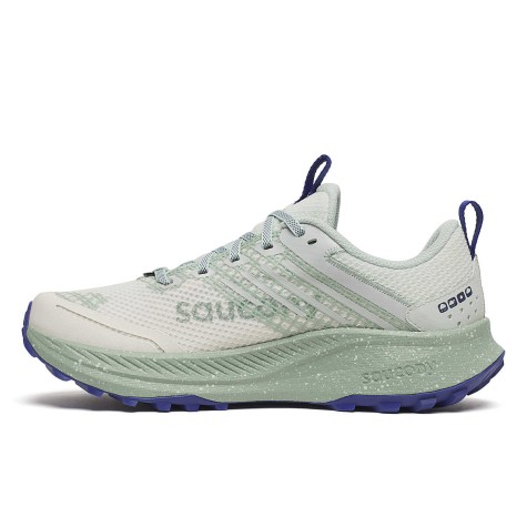SAUCONY RIDE TR2 GTX DONNA QUART MIST